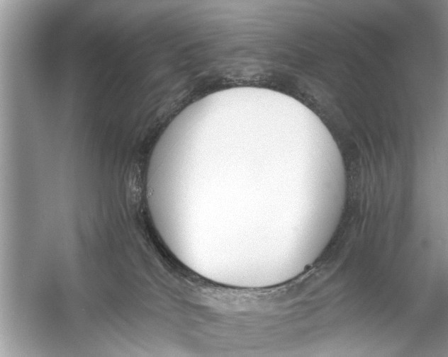 X0000056000040200509162329