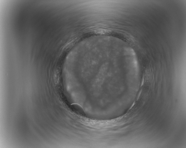 X0000056000043200509162329