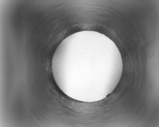 X0000056000044200509162329