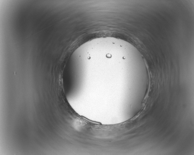 X0000056000045200509162329