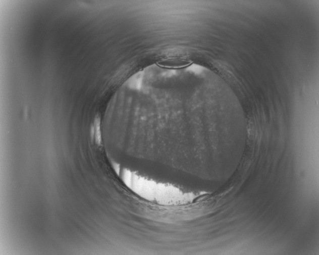 X0000056000046200509162329