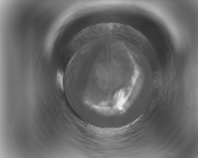 X0000056000047200509162329