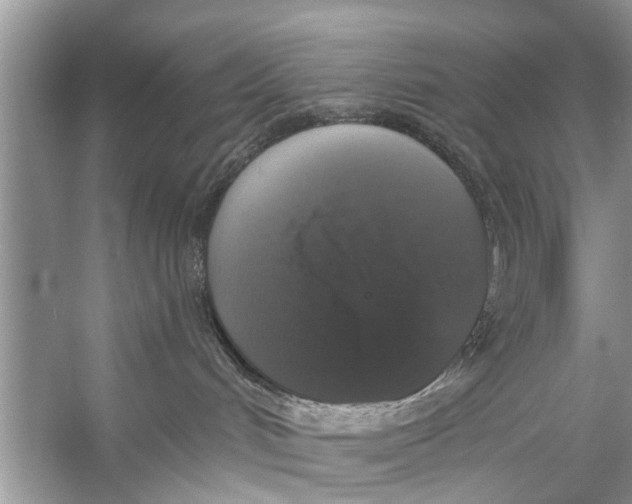 X0000056000048200509162329