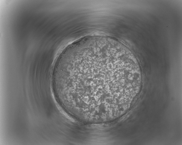 X0000056000049200509162328