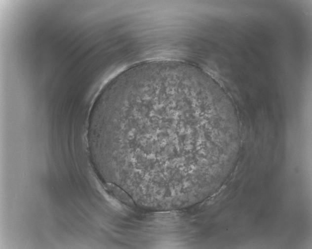 X0000056000050200509162328