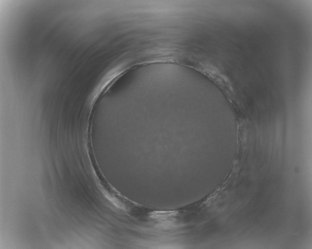 X0000056000051200509162328