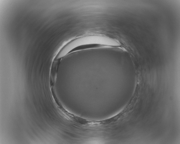 X0000056000052200509162328