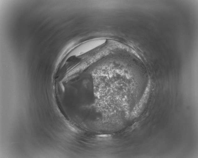 X0000056000053200509162328