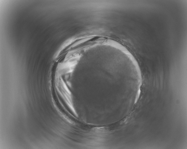 X0000056000054200509162328