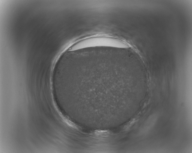 X0000056000055200509162328