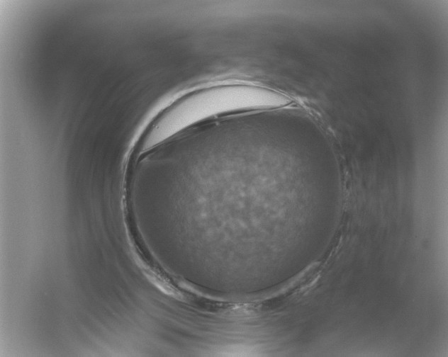 X0000056000056200509162328