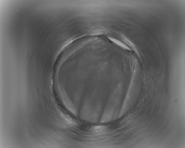 X0000056000059200509162328