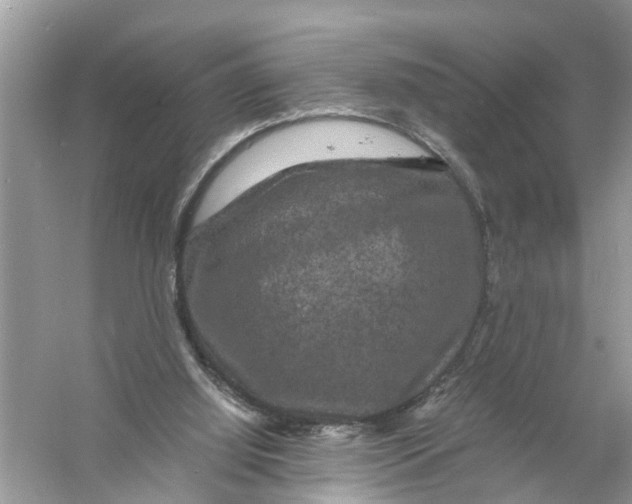 X0000056000060200509162328