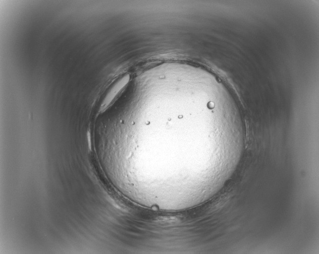 X0000056000061200509162328