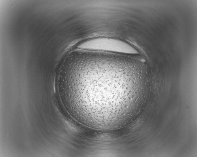 X0000056000062200509162329