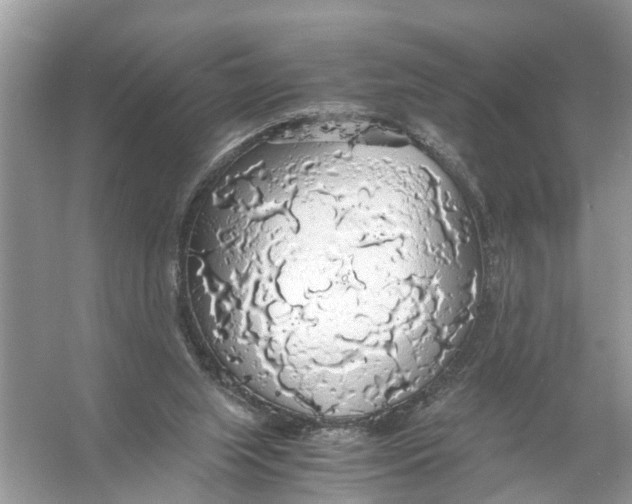 X0000056000063200509162329