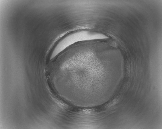 X0000056000064200509162329