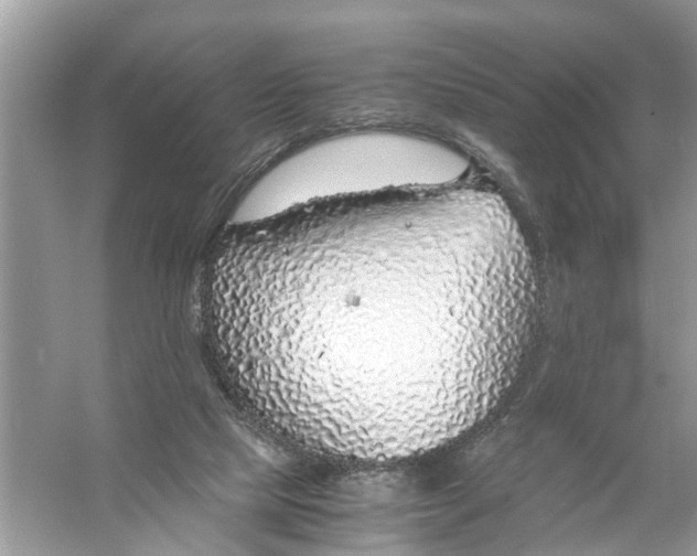 X0000056000065200509162329