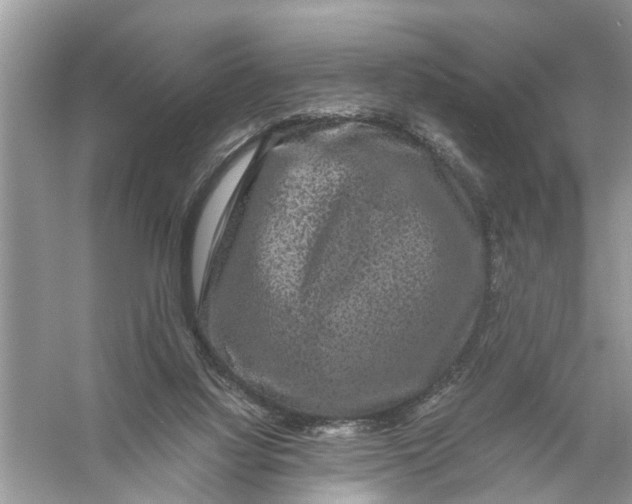 X0000056000068200509162329