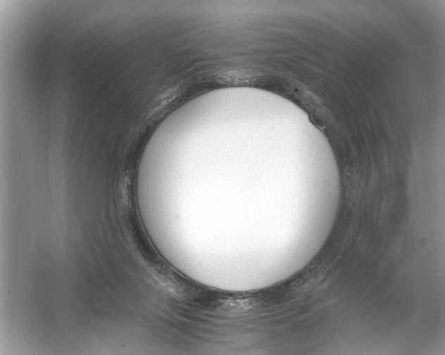 X0000056000071200509162329