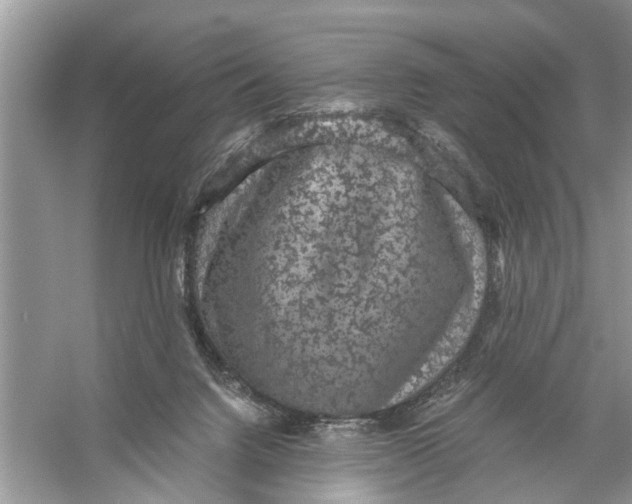 X0000056000072200509162329