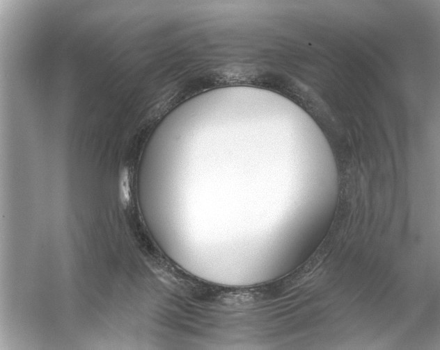 X0000056000075200509162329