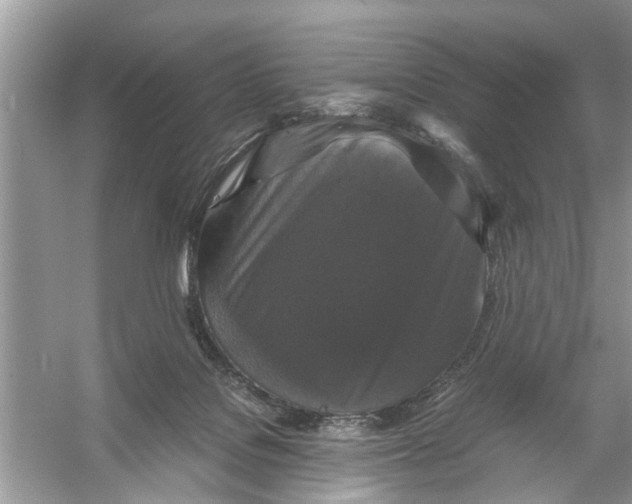 X0000056000076200509162329