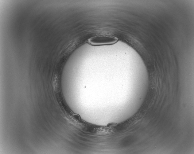 X0000056000077200509162329