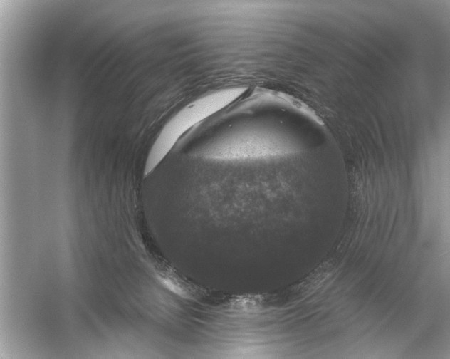 X0000056000080200509162329