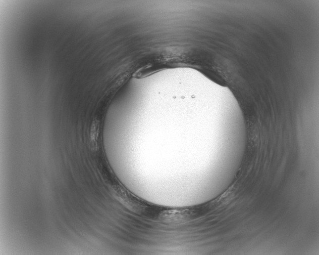 X0000056000082200509162329