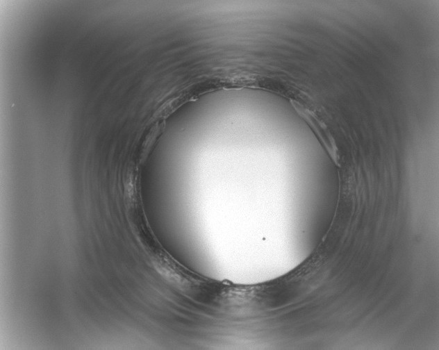 X0000056000084200509162329