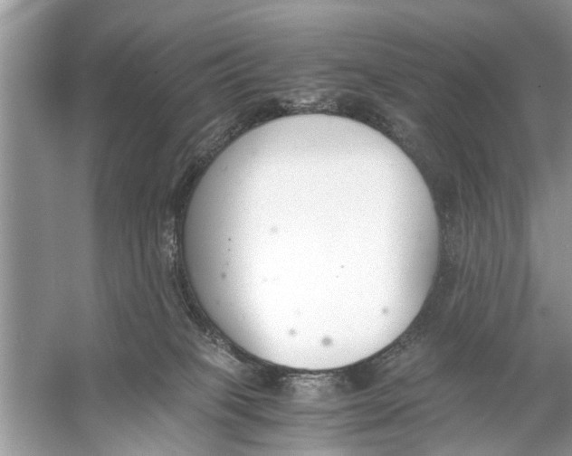 X0000056000085200509162329