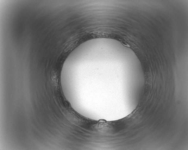 X0000056000086200509162329