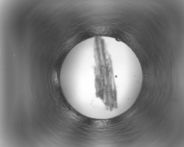 X0000056000089200509162329