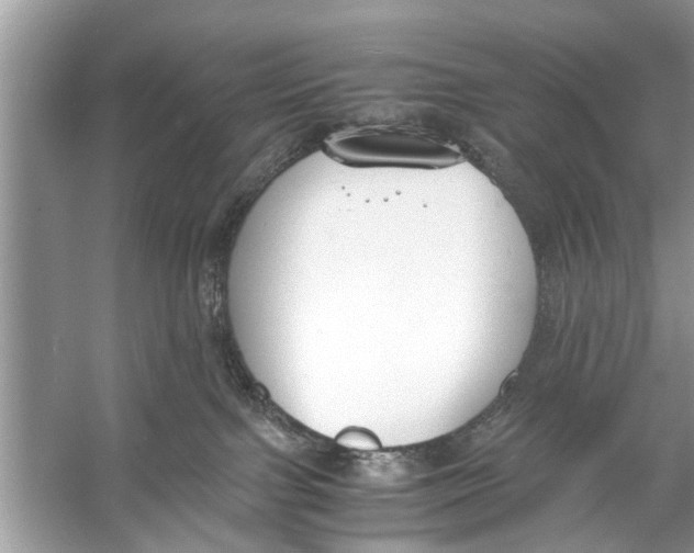 X0000056000091200509162329