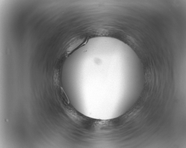 X0000056000092200509162329