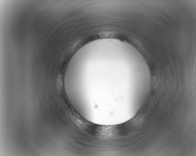 X0000056000093200509162329