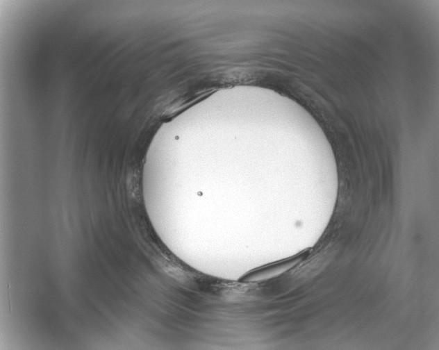 X0000056000096200509162329