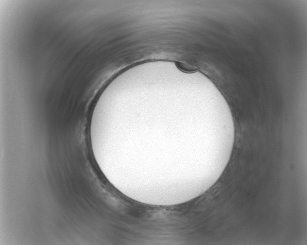 X0000056000098200509162328