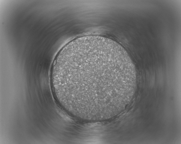 X0000056000100200509162328