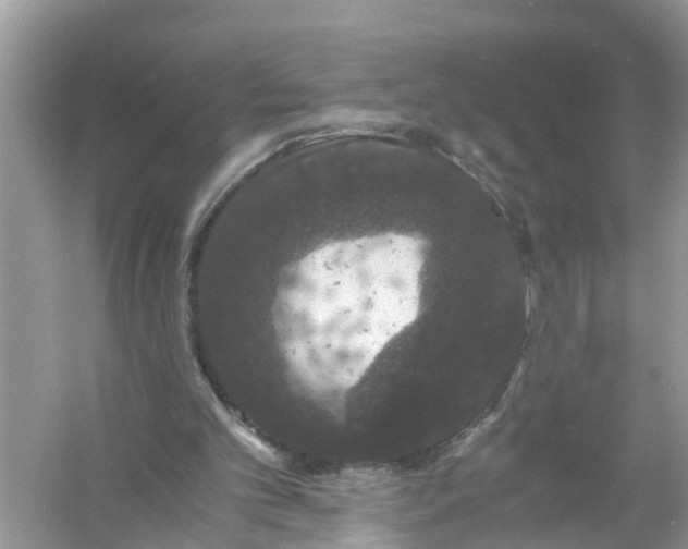 X0000056000101200509162328