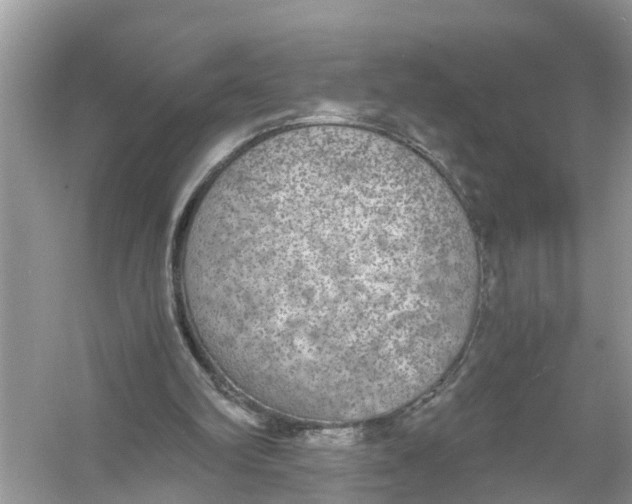 X0000056000102200509162328