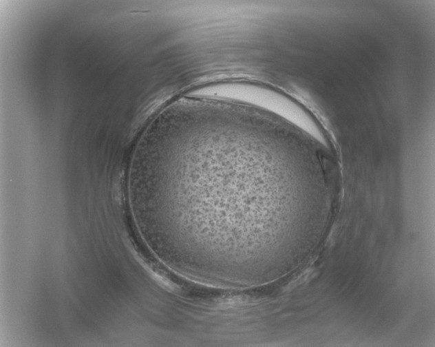 X0000056000105200509162328