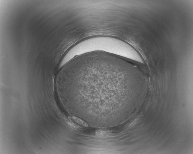 X0000056000109200509162328