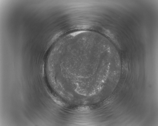 X0000056000110200509162328