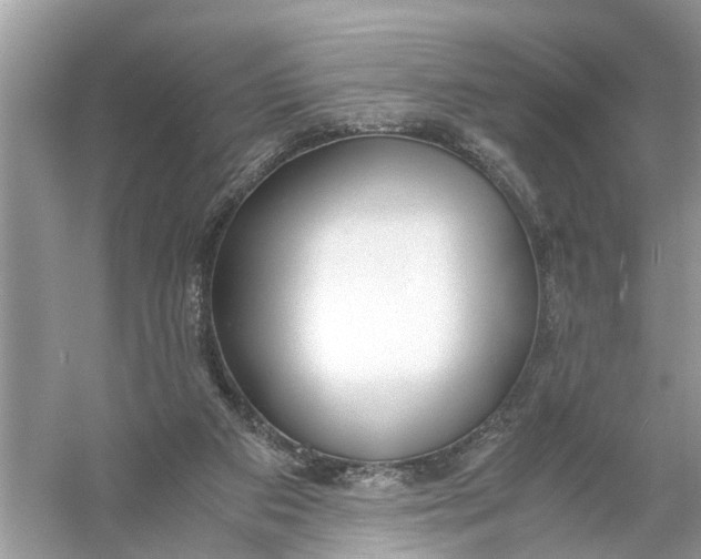 X0000056000113200509162328