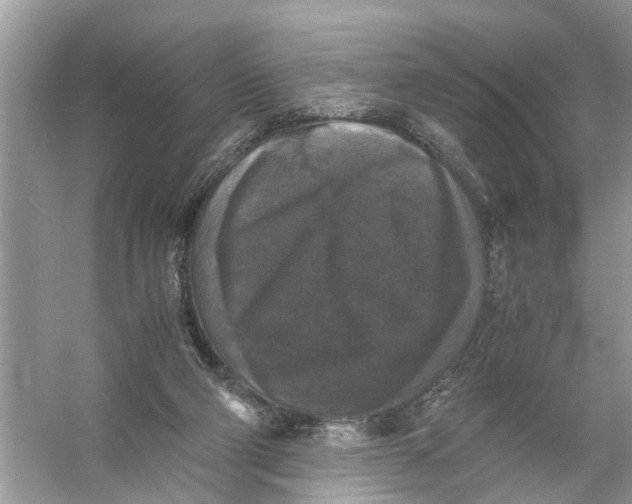 X0000056000114200509162328