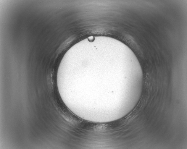 X0000056000116200509162328