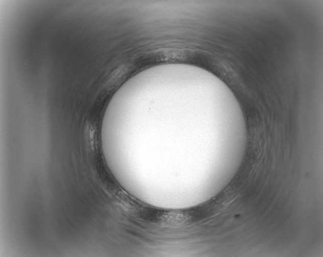 X0000056000123200509162328