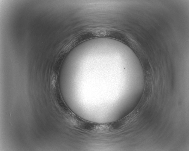 X0000056000125200509162328